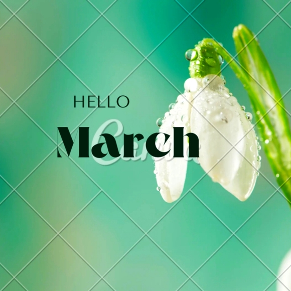 Minimum $13 - Picture 7 of 16